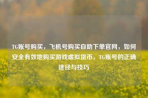 TG账号购买，飞机号购买自助下单官网，如何安全有效地购买游戏虚拟货币，TG账号的正确途径与技巧