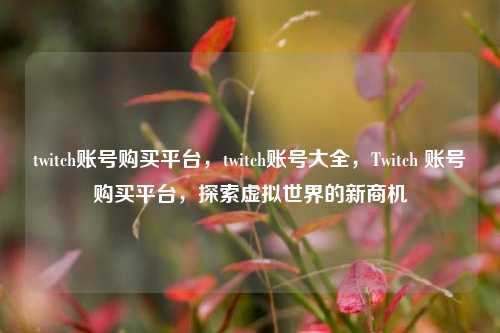 twitch账号购买平台，twitch账号大全，Twitch 账号购买平台，探索虚拟世界的新商机