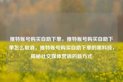 推特账号购买自助下单，推特账号购买自助下单怎么取消，推特账号购买自助下单的黑科技，揭秘社交媒体营销的新方式
