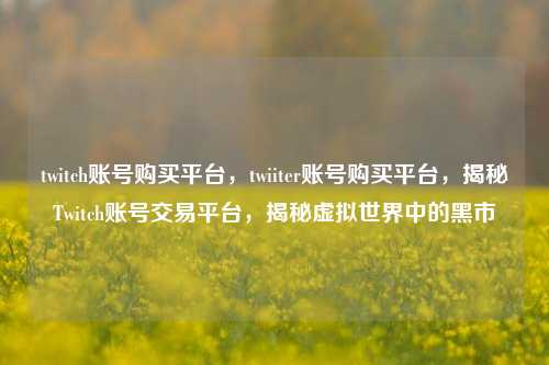 twitch账号购买平台，twiiter账号购买平台，揭秘Twitch账号交易平台，揭秘虚拟世界中的黑市