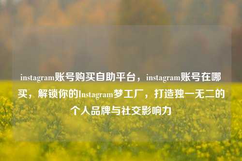 instagram账号购买自助平台，instagram账号在哪买，解锁你的Instagram梦工厂，打造独一无二的个人品牌与社交影响力