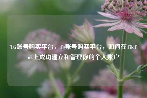 TG账号购买平台，Tg账号购买平台，如何在TikTok上成功建立和管理你的个人账户