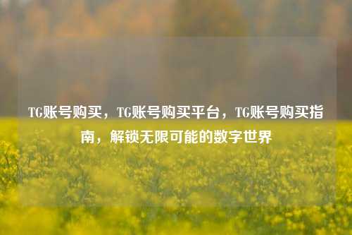 TG账号购买，TG账号购买平台，TG账号购买指南，解锁无限可能的数字世界