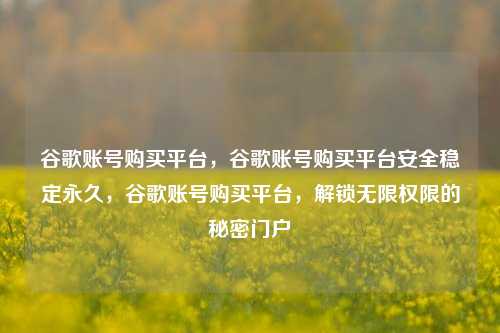 谷歌账号购买平台，谷歌账号购买平台安全稳定永久，谷歌账号购买平台，解锁无限权限的秘密门户