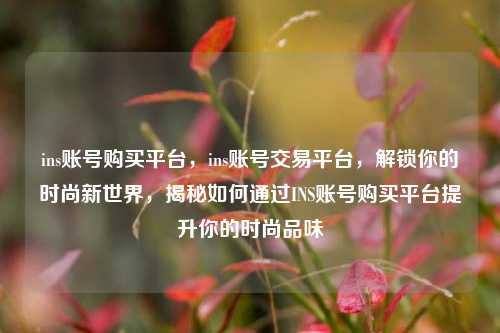 ins账号购买平台，ins账号交易平台，解锁你的时尚新世界，揭秘如何通过INS账号购买平台提升你的时尚品味