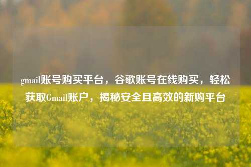 gmail账号购买平台，谷歌账号在线购买，轻松获取Gmail账户，揭秘安全且高效的新购平台