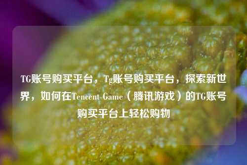 TG账号购买平台，Tg账号购买平台，探索新世界，如何在Tencent Game（腾讯游戏）的TG账号购买平台上轻松购物