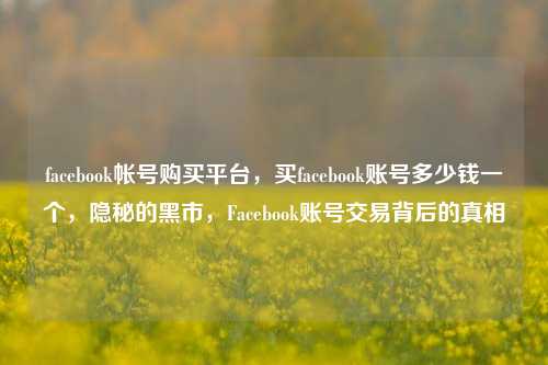 facebook帐号购买平台，买facebook账号多少钱一个，隐秘的黑市，Facebook账号交易背后的真相