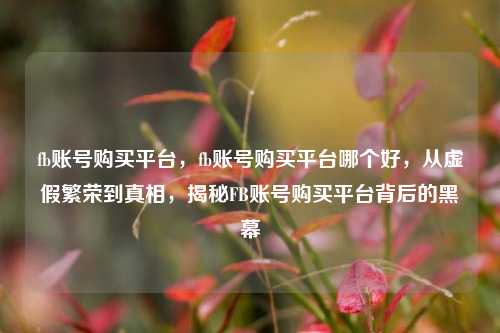 fb账号购买平台，fb账号购买平台哪个好，从虚假繁荣到真相，揭秘FB账号购买平台背后的黑幕
