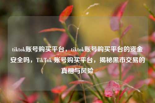 tiktok账号购买平台，tiktok账号购买平台的资金安全吗，TikTok 账号购买平台，揭秘黑市交易的真相与风险