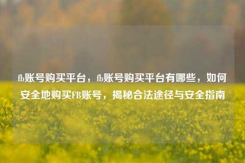 fb账号购买平台，fb账号购买平台有哪些，如何安全地购买FB账号，揭秘合法途径与安全指南
