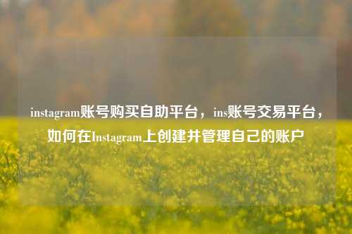 instagram账号购买自助平台，ins账号交易平台，如何在Instagram上创建并管理自己的账户
