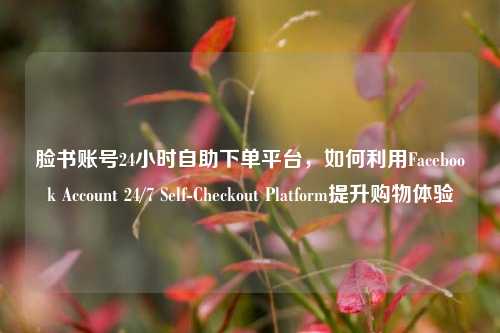 脸书账号24小时自助下单平台，如何利用Facebook Account 24/7 Self-Checkout Platform提升购物体验