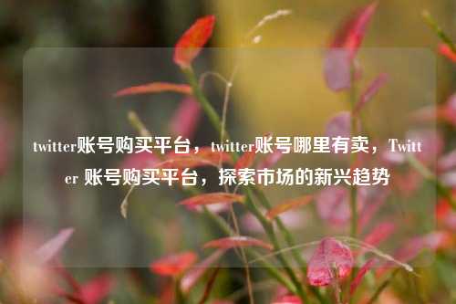 twitter账号购买平台，twitter账号哪里有卖，Twitter 账号购买平台，探索市场的新兴趋势