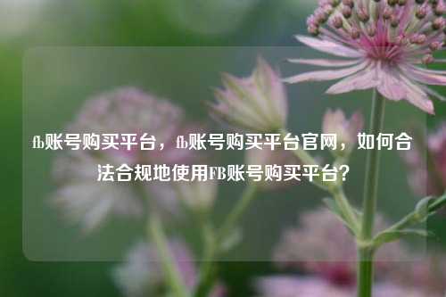 fb账号购买平台，fb账号购买平台官网，如何合法合规地使用FB账号购买平台？