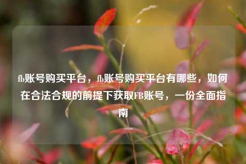 fb账号购买平台，fb账号购买平台有哪些，如何在合法合规的前提下获取FB账号，一份全面指南