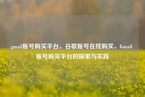 gmail账号购买平台，谷歌账号在线购买，Gmail 账号购买平台的探索与实践