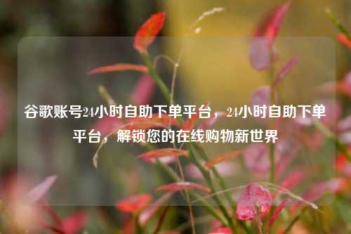 谷歌账号24小时自助下单平台，24小时自助下单平台，解锁您的在线购物新世界