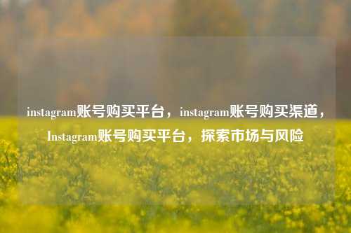 instagram账号购买平台，instagram账号购买渠道，Instagram账号购买平台，探索市场与风险