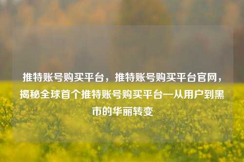 推特账号购买平台，推特账号购买平台官网，揭秘全球首个推特账号购买平台—从用户到黑市的华丽转变