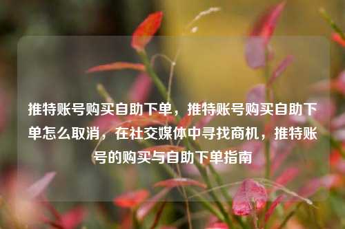 推特账号购买自助下单，推特账号购买自助下单怎么取消，在社交媒体中寻找商机，推特账号的购买与自助下单指南