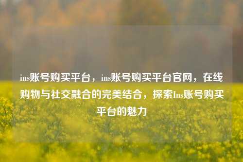 ins账号购买平台，ins账号购买平台官网，在线购物与社交融合的完美结合，探索Ins账号购买平台的魅力
