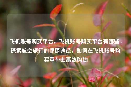 飞机账号购买平台，飞机账号购买平台有哪些，探索航空旅行的便捷途径，如何在飞机账号购买平台上高效购物