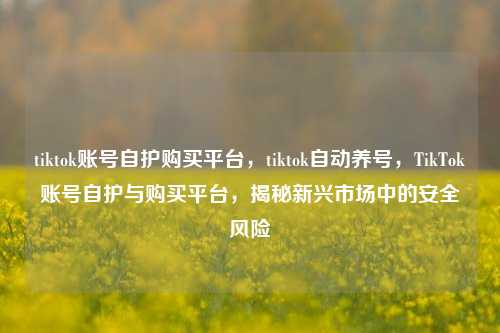 tiktok账号自护购买平台，tiktok自动养号，TikTok账号自护与购买平台，揭秘新兴市场中的安全风险
