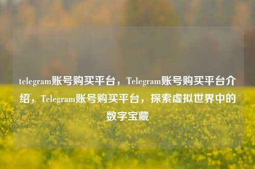 telegram账号购买平台，Telegram账号购买平台介绍，Telegram账号购买平台，探索虚拟世界中的数字宝藏
