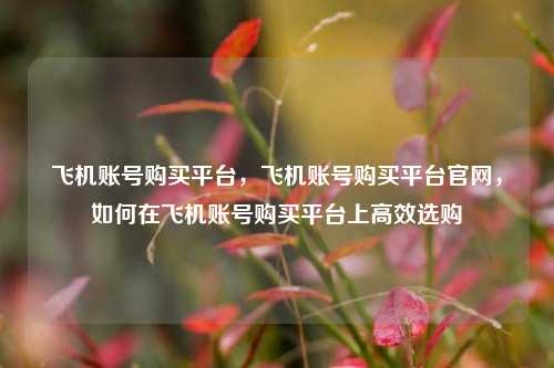 飞机账号购买平台，飞机账号购买平台官网	，如何在飞机账号购买平台上高效选购  第1张