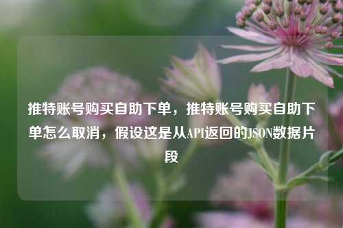 推特账号购买自助下单，推特账号购买自助下单怎么取消，假设这是从API返回的JSON数据片段