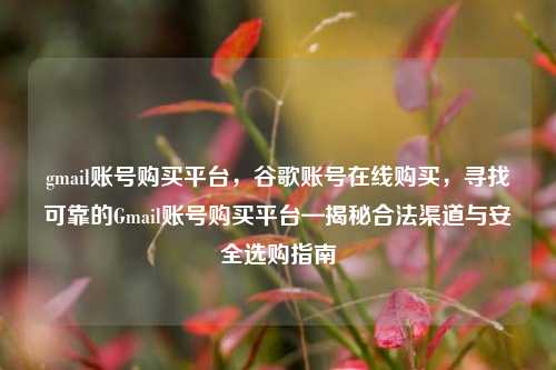 gmail账号购买平台，谷歌账号在线购买，寻找可靠的Gmail账号购买平台—揭秘合法渠道与安全选购指南