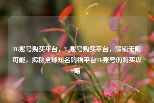 TG账号购买平台，Tg账号购买平台，解锁无限可能，揭秘全球知名购物平台TG账号的购买攻略
