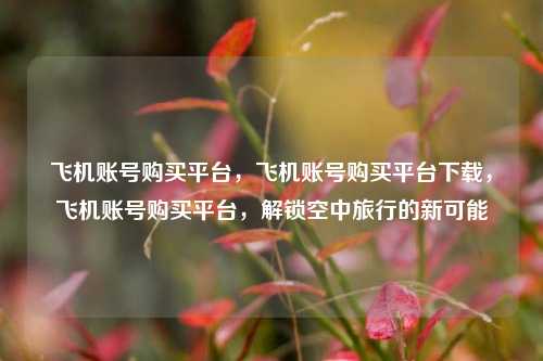 飞机账号购买平台，飞机账号购买平台下载，飞机账号购买平台，解锁空中旅行的新可能