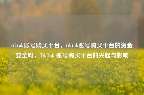 tiktok账号购买平台，tiktok账号购买平台的资金安全吗，TikTok 账号购买平台的兴起与影响