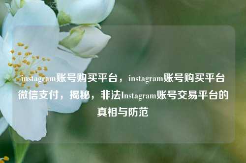 instagram账号购买平台，instagram账号购买平台微信支付，揭秘，非法Instagram账号交易平台的真相与防范