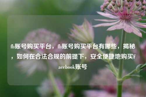 fb账号购买平台，fb账号购买平台有哪些，揭秘，如何在合法合规的前提下，安全便捷地购买Facebook账号