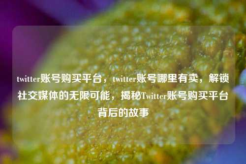 twitter账号购买平台，twitter账号哪里有卖，解锁社交媒体的无限可能，揭秘Twitter账号购买平台背后的故事