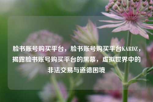脸书账号购买平台，脸书账号购买平台KARDZ，揭露脸书账号购买平台的黑幕，虚拟世界中的非法交易与道德困境