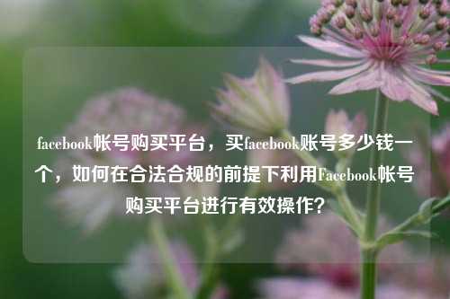 facebook帐号购买平台，买facebook账号多少钱一个，如何在合法合规的前提下利用Facebook帐号购买平台进行有效操作？