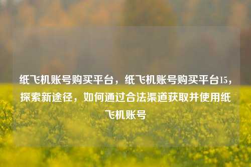 纸飞机账号购买平台，纸飞机账号购买平台15，探索新途径	，如何通过合法渠道获取并使用纸飞机账号  第1张
