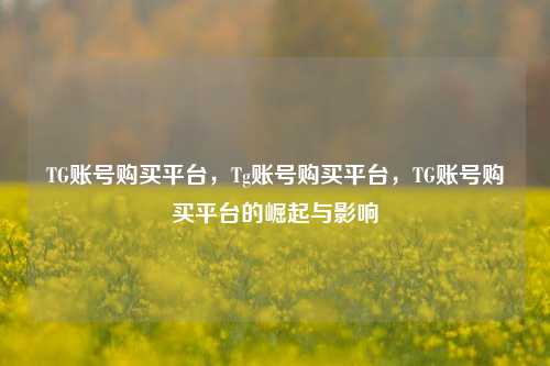 TG账号购买平台，Tg账号购买平台，TG账号购买平台的崛起与影响