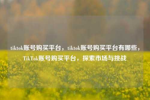 tiktok账号购买平台，tiktok账号购买平台有哪些，TikTok账号购买平台，探索市场与挑战