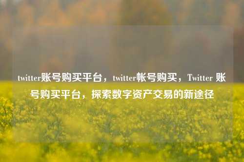 twitter账号购买平台，twitter帐号购买，Twitter 账号购买平台，探索数字资产交易的新途径