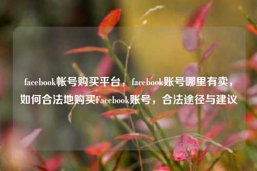 facebook帐号购买平台，facebook账号哪里有卖，如何合法地购买Facebook账号，合法途径与建议