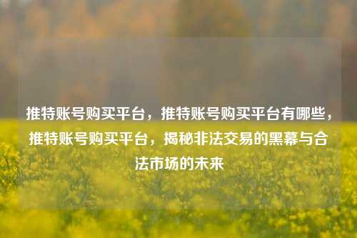 推特账号购买平台，推特账号购买平台有哪些，推特账号购买平台，揭秘非法交易的黑幕与合法市场的未来