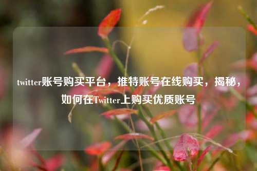 twitter账号购买平台，推特账号在线购买，揭秘，如何在Twitter上购买优质账号
