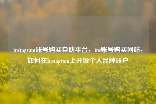 instagram账号购买自助平台，ins账号购买网站，如何在Instagram上开设个人品牌账户