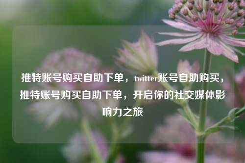 推特账号购买自助下单，twitter账号自助购买，推特账号购买自助下单，开启你的社交媒体影响力之旅
