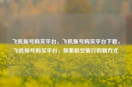 飞机账号购买平台，飞机账号购买平台下载，飞机账号购买平台，探索航空旅行的新方式